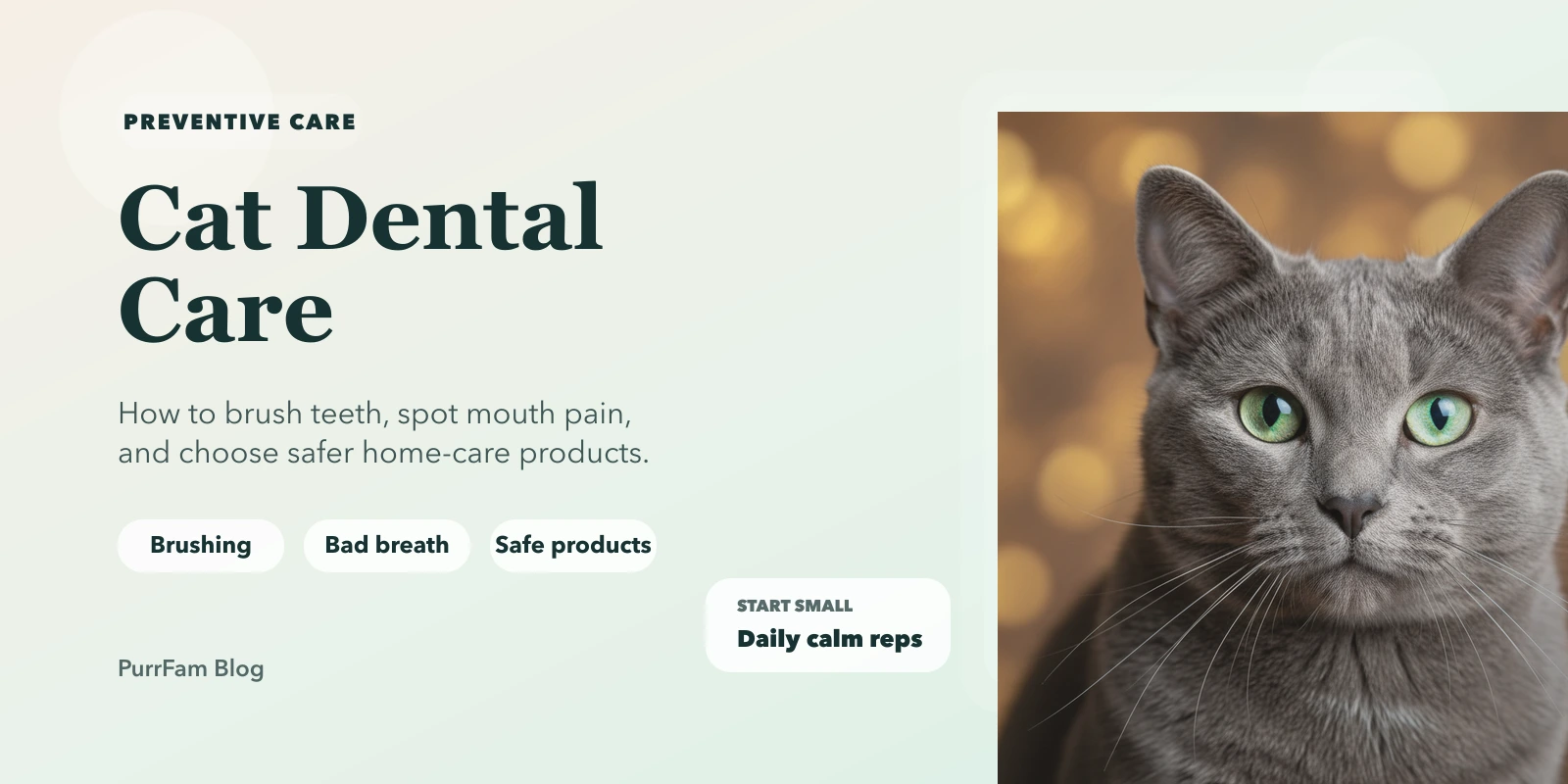 Cat Dental Care: How to Brush Teeth, Spot Disease & Choose Safe Products